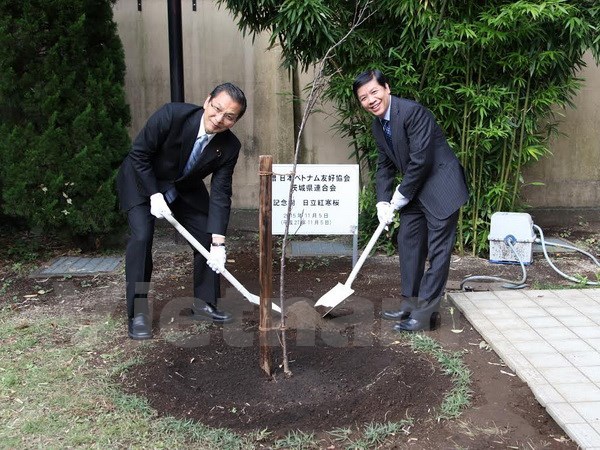 Ibaraki prefecture presents cherry tree to Vietnamese Embassy in Japan