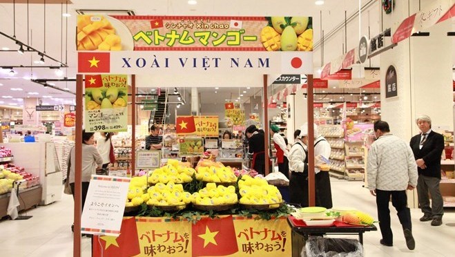 First Cat Chu mangoes hit shelves in Japan 